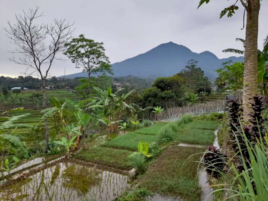 Dijual Cepat Tanah Beserta Bangunan Baru