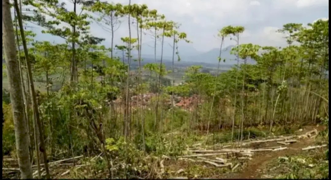 Tanah kebun di Garut