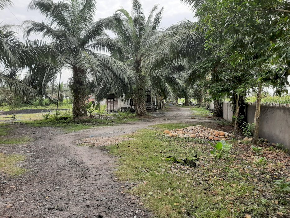 Dijual tanah seluas satu hektare lebih di hamparan perak, deli serdang, sumut