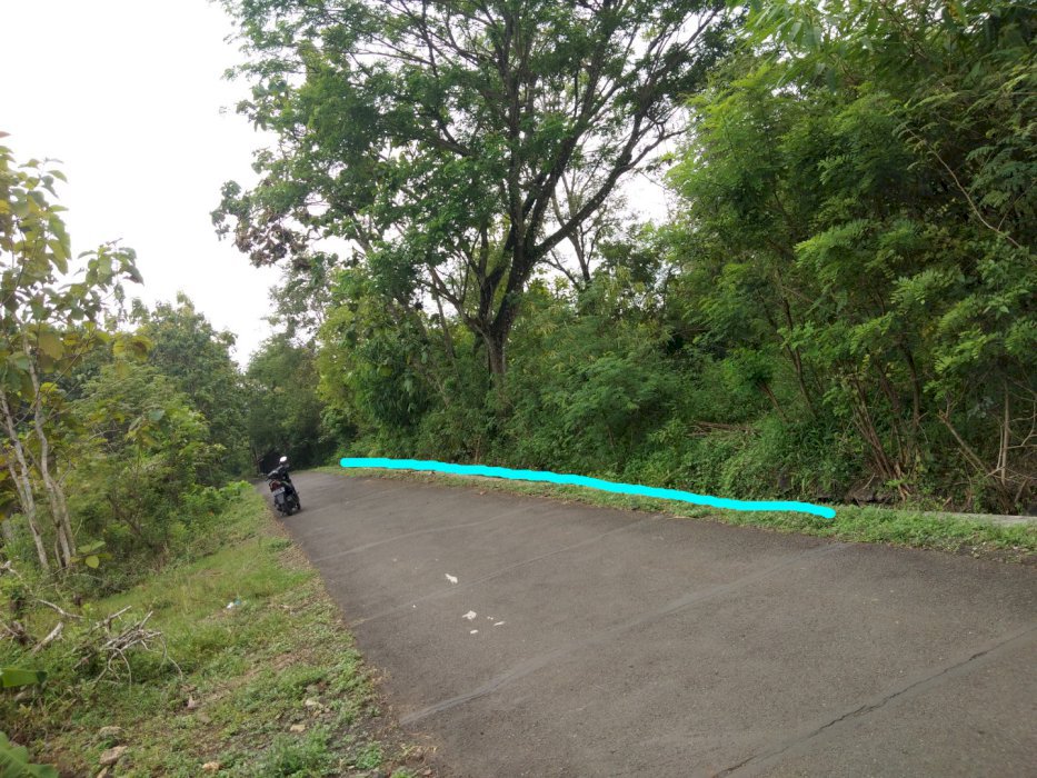 Dijual tanah pekarangan