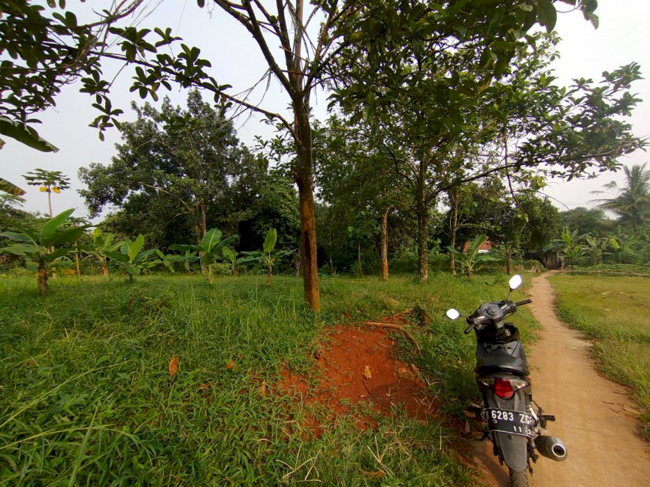 Di jual tanah darat warujaya parung