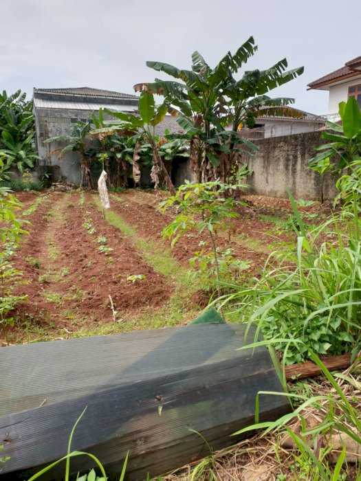 DIJUALÂ TANAH KAVLING DI LINGKUNGAN ISLAMI, TANGERANG