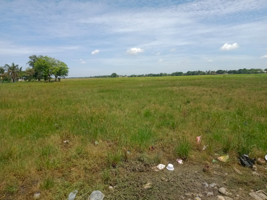 Jual tanah sawah