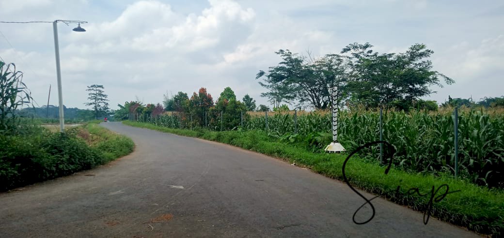 Tanah pinggirjalan boja