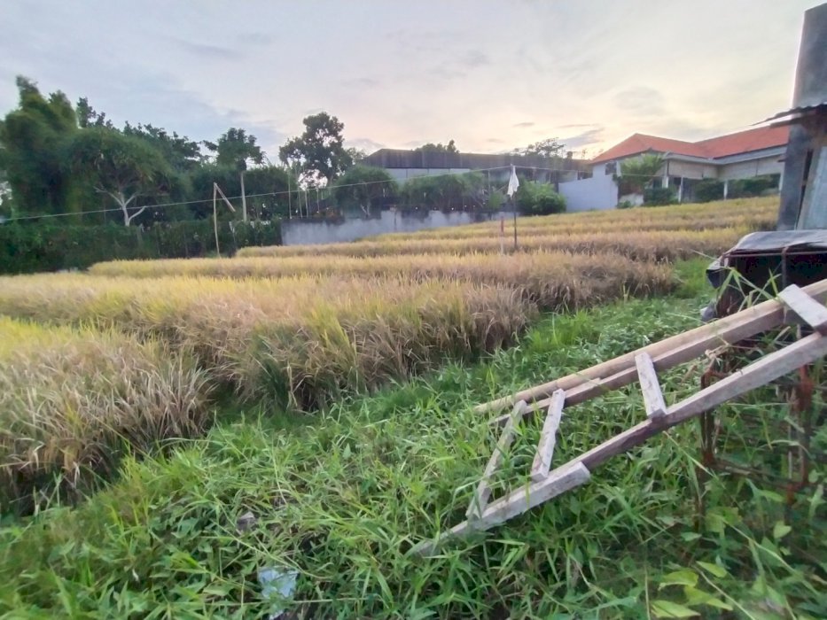 Disewakan tanah untuk guest house restoran zona kuning Padang linjong
