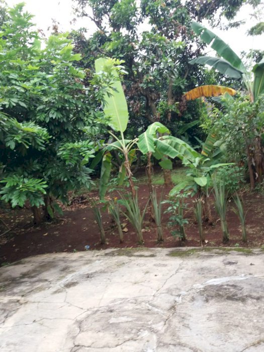 Tanah Jatijajar Dekat Toll Cijago