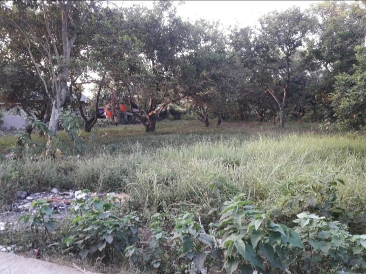 TANAH DEKAT LIPPO CIKARANG