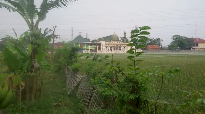 TANAH DI PINGGIR JL. PROVINSI KARAWANG TIMUR