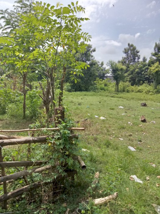 Di Jual Tanah Daerah Jimbaran