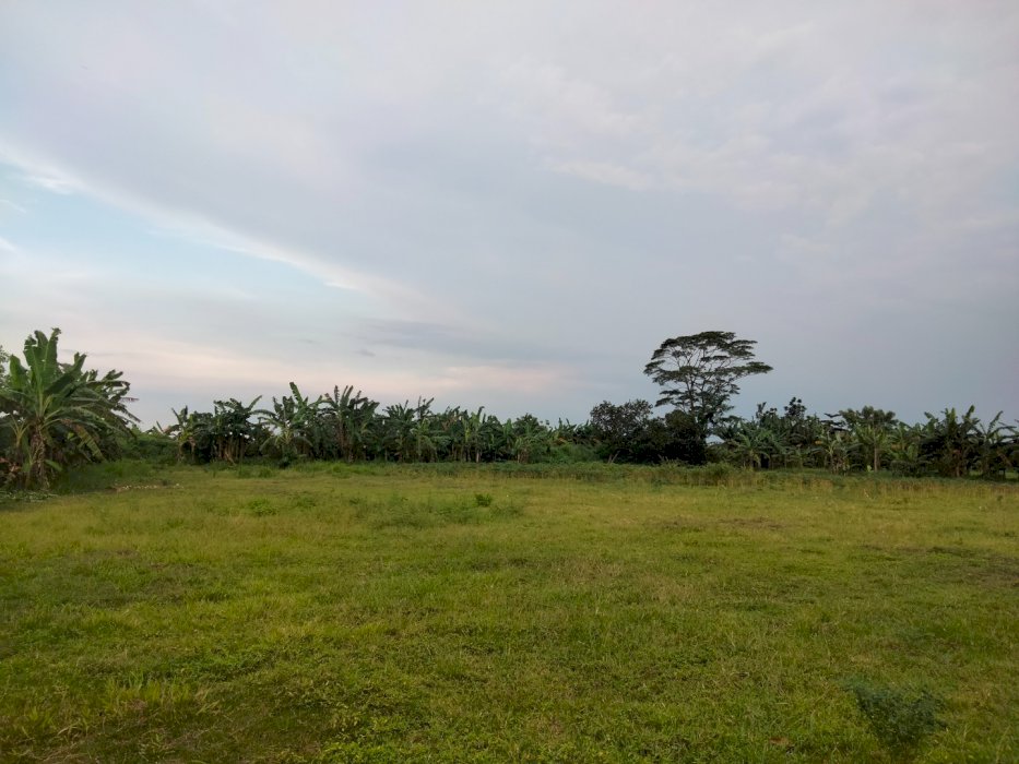 Jual tanah secepatnya 400/meter nego lokasi masuk mobil dekat dgn jln