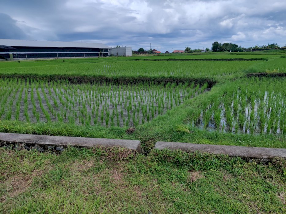 BUC tanah dekat pinggir pantai nyanyi beraban .cocok untuk villa
