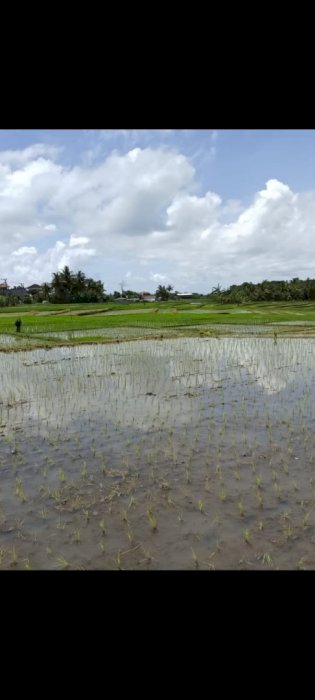 Tanah view gunung dipinggir jalan utama tanah lot jalan depan raya