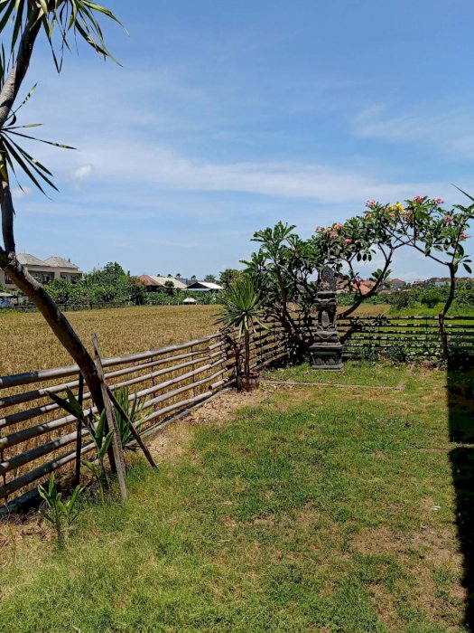 Lease hold 21 years Land and Antique Teak Wood House Kerobokan