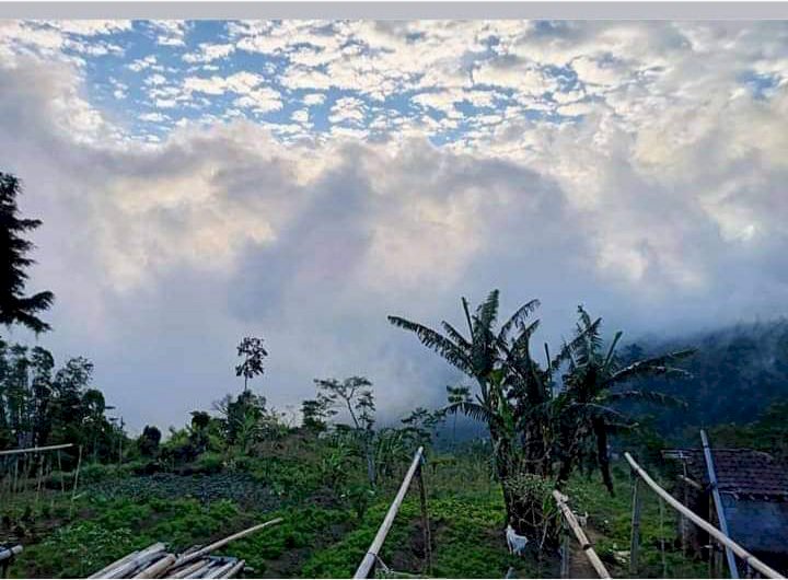 Tanah Dijual Dekat Danau Tamblingan Desa Munduk Buleleng