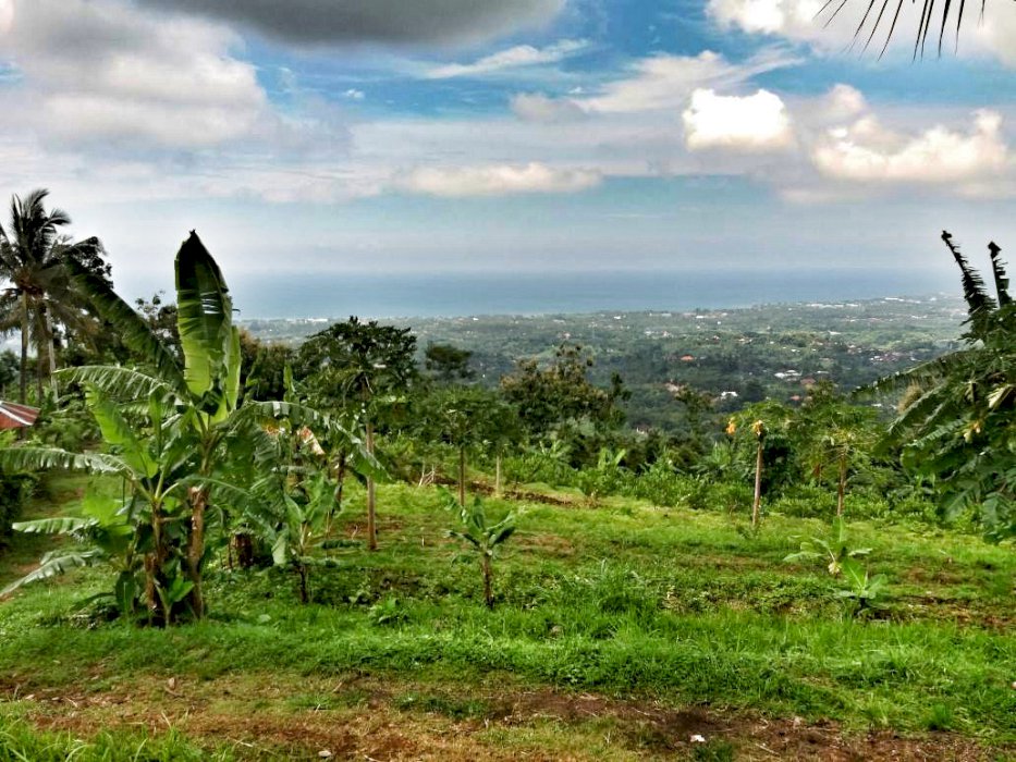 Reduced Price Land 1 Ha Seaview Singaraja Bali