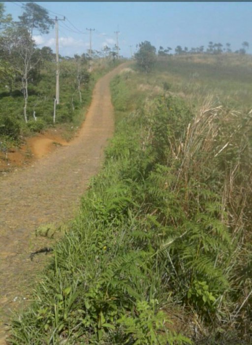 jual tanah daerah sukabumi