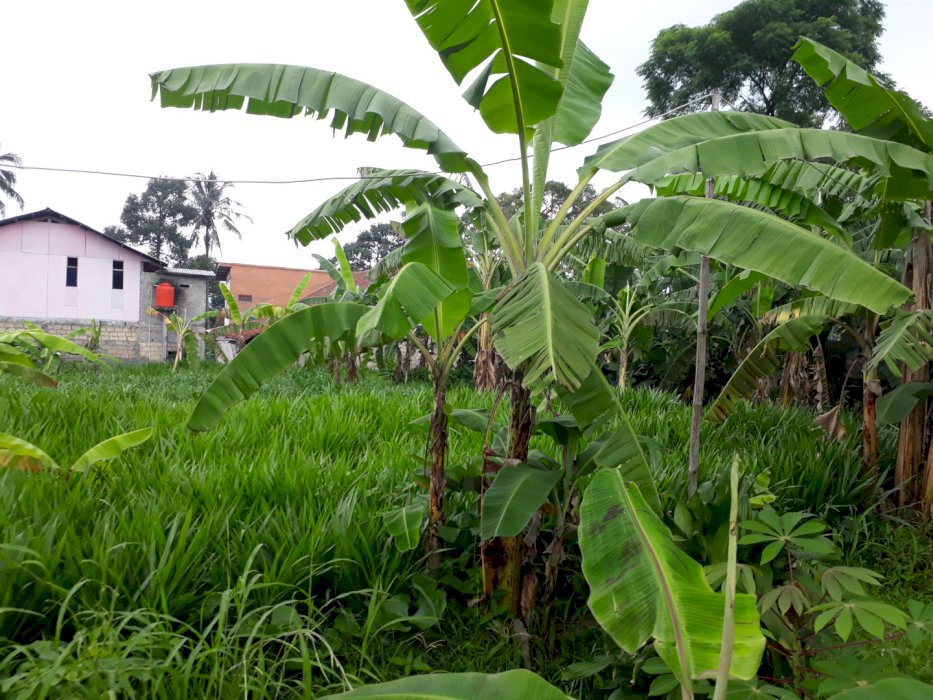 Inves Tanah untuk masa depan