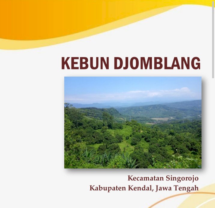 perkebunan djomblang  kendal