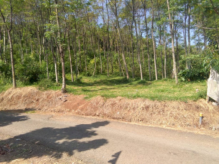 Jual Tanah Kosong Padat di Soreang Kab. Bandung.