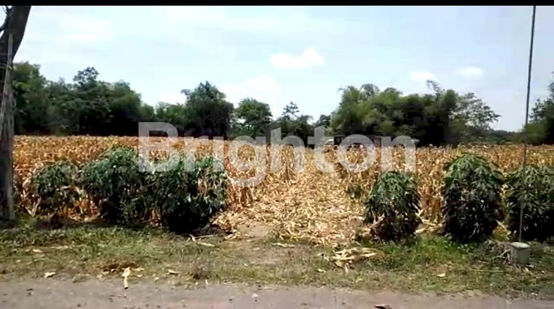 INVESTASI STRATEGIS kediri