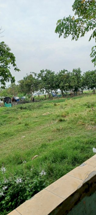 Tanah kavling Murah Siap Bangun Hanya 7 menit Ke Pintu Tol Srimahi