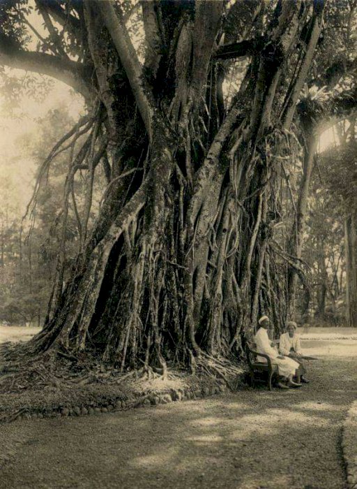 Jual Tanah kapling bantaeng