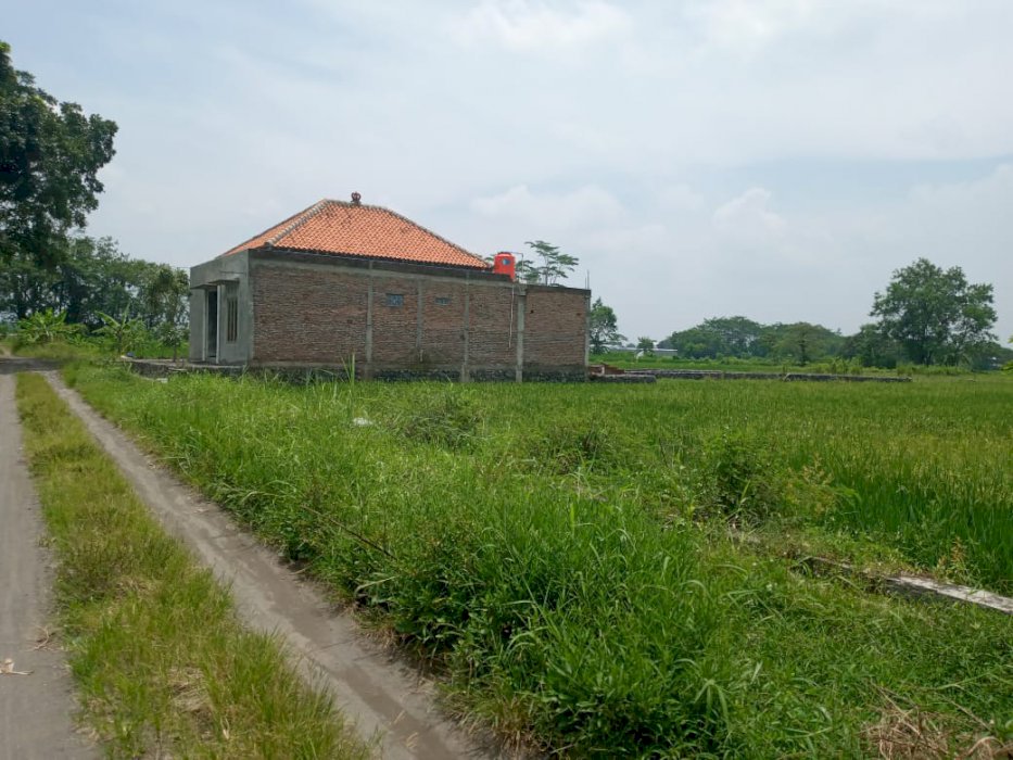Tanah Murah Dkt RSI dan Bandara Adi Sucipto di Kalasan Sleman