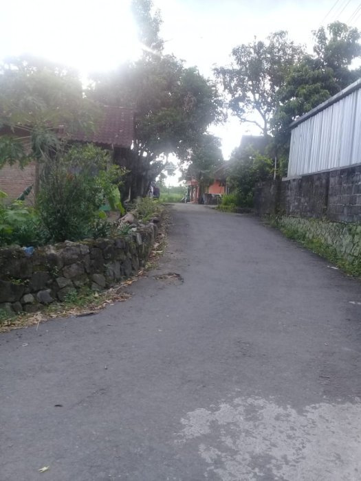 Tanah Bagus Bisa jd 2 Kavling Dkt Kampus PPPPG Kesenian Di Sleman