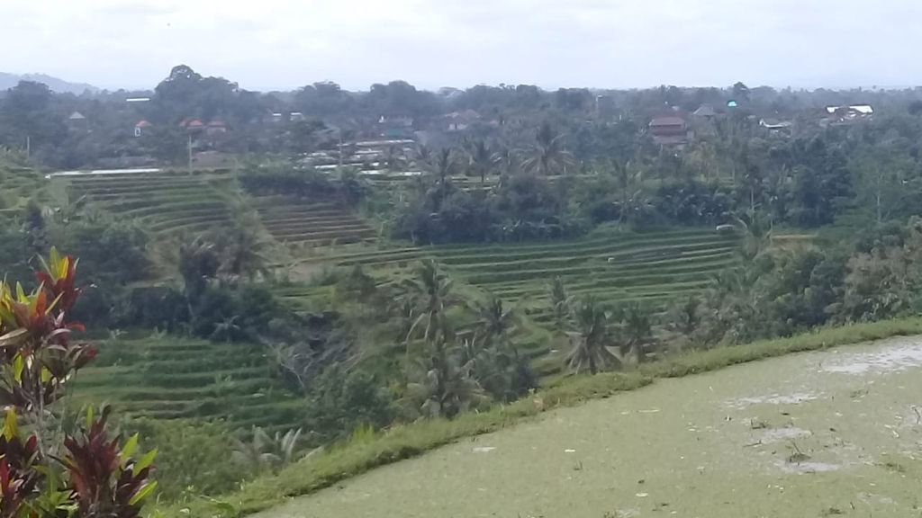 Dijual Tanah Sawah terrace sering 53,3 are