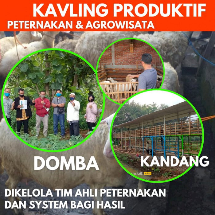 Jual Kavling Produktiv