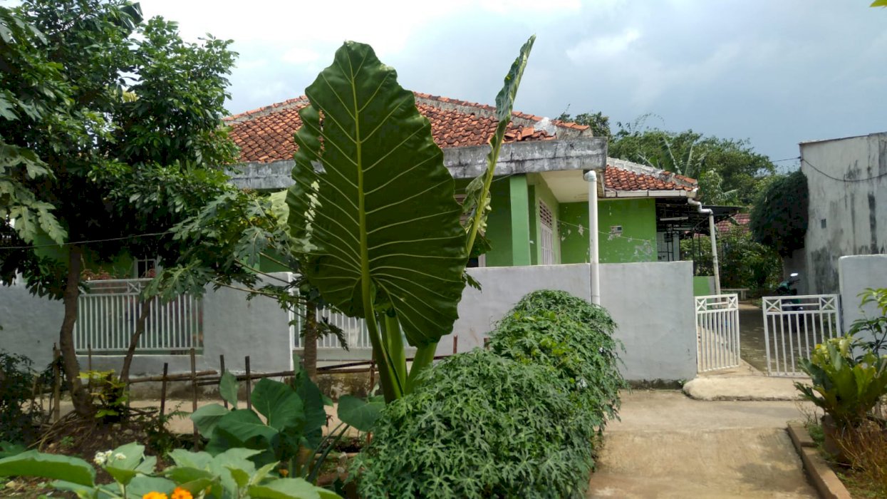 Rumah Dijual Cepat