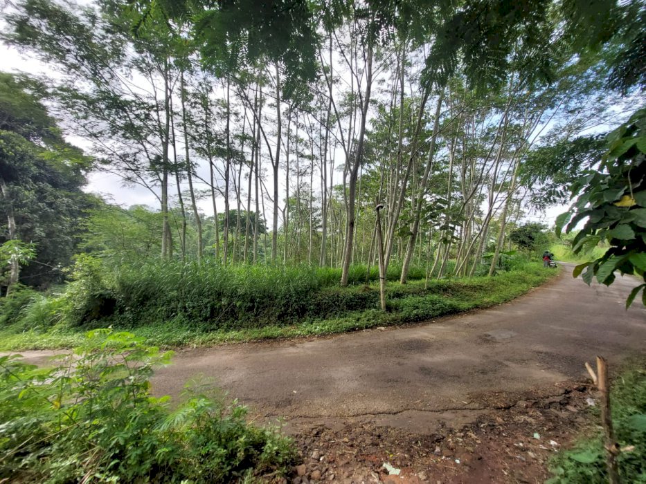 Dijual Tanah Poros Jalan