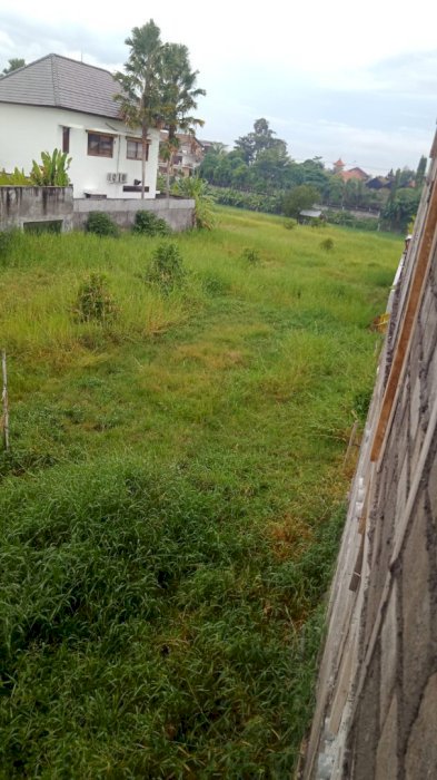 Buc tanah kayu tulang Canggu view sawah zona kuning