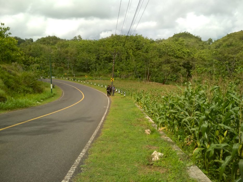 Tanah Prospek Jln Nasional Harga Murah
