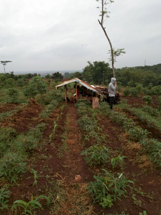 tanah dijual di majalaya kabupaten bandung