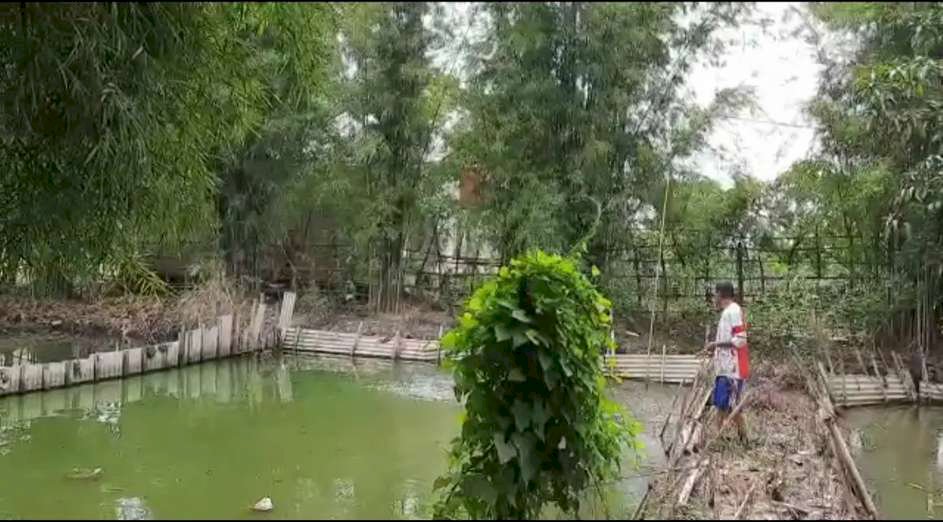 Jual Oper Alih Tanah Empang