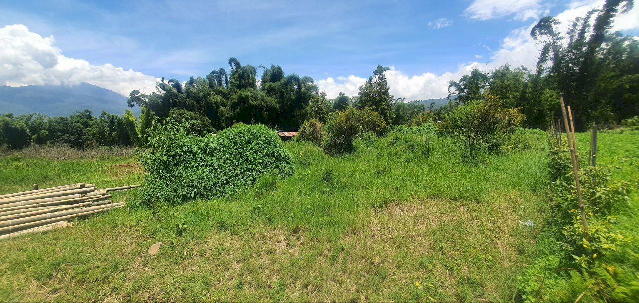 Hot Deal! Tanah Kebun Cocok Buat Private Vila View Menawan Nuansa Asri