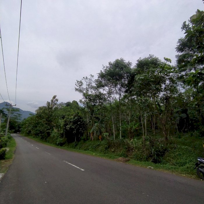Tanah Murah Pinggir Jalan Kabupaten/Kota