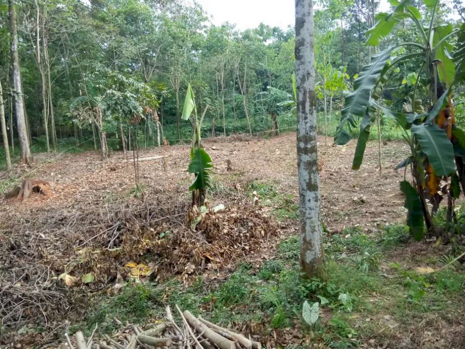 JUAL TANAH HARGA./ Mtr NEGO (ada rmhnya cocok utk berkebun, berternak)