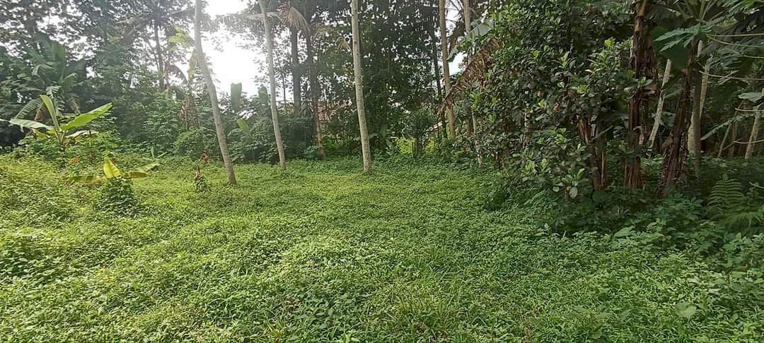 Dijual Tanah 176mÂ² AJB Lok Pakisaji Malang