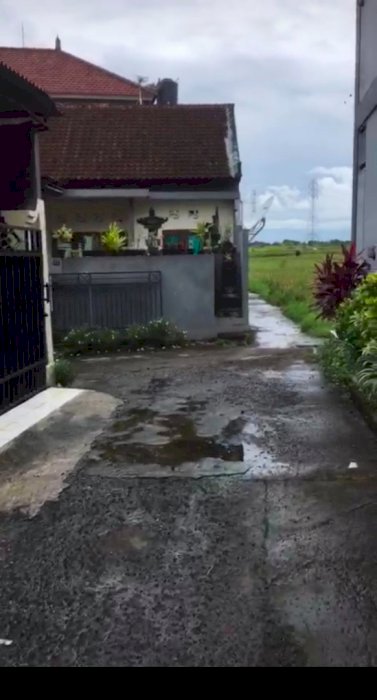 Dijual cepat tanah lokasi buduk sangat dijual murah karena butuh uang