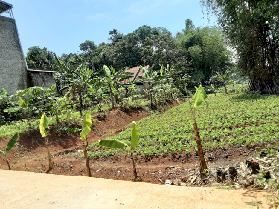 Jual Tanah Di Komplek Pos - Cileunyi Bandung !