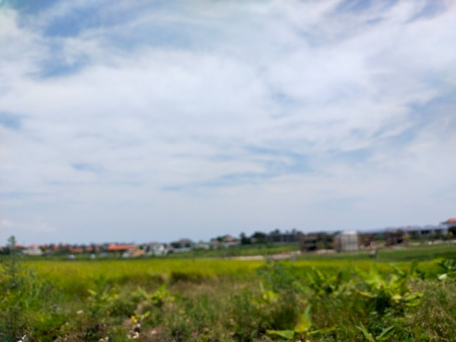 Dijual tanah kavling zona kuning dilokasi batu bolong view sawah