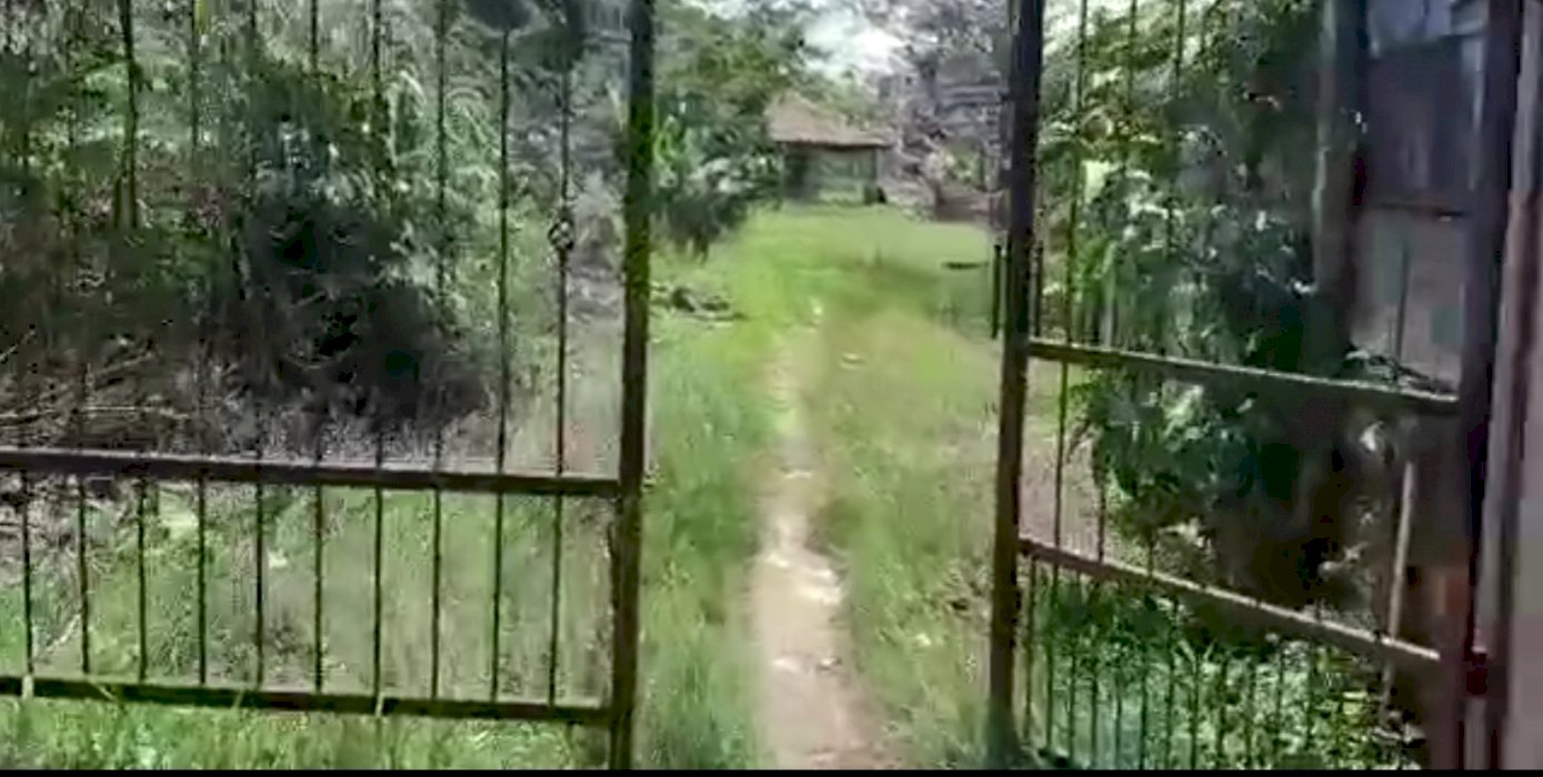 JUAL TANAH LUAS DAN AKSES MUDAH CISEENG, HANYA 2,5JT/METER