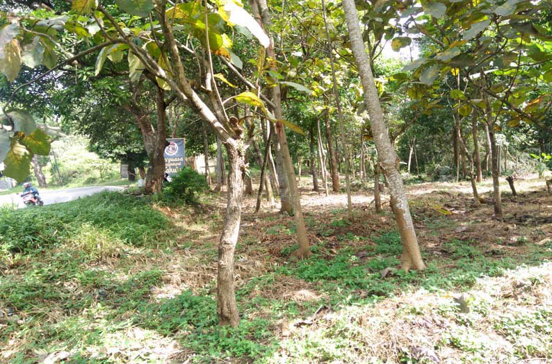 Kavling Tegal Asri, Strategis, Cocok untuk Rumah Tinggal dan Mobilitas