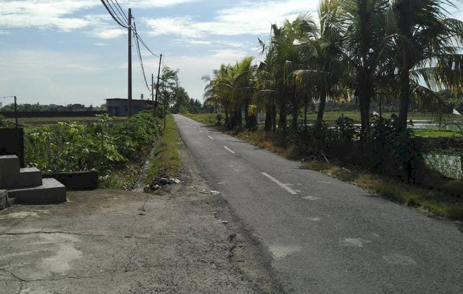 Dijual tanah view sawah dan laut di jln utama yeh Gangga Tabanan Bali