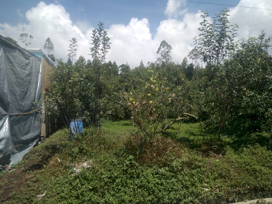 TANAH VIEW INDAH DEKAT TEMPAT WISATA