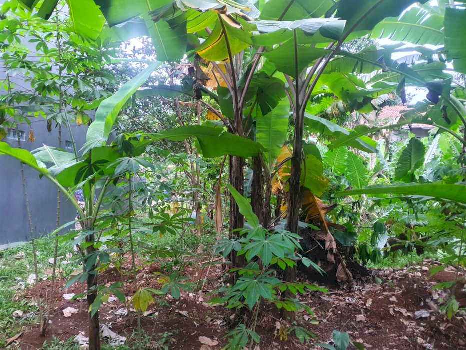 Jual tanah kosong cocok untuk inves