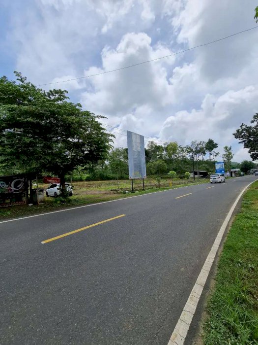 DI JUAL TANAH PINGGIR JALAN PROVINSI MANTREN PUNUNG PACITAN