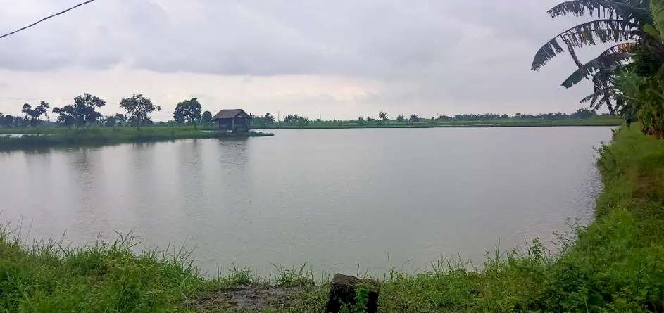 Dijual cepat Tanah Jalan Raya Tuban - Surabaya